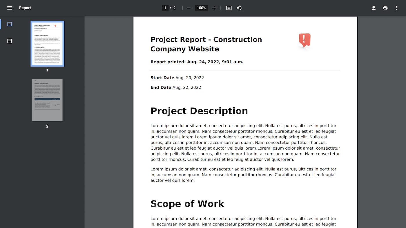 Project Software Application Report